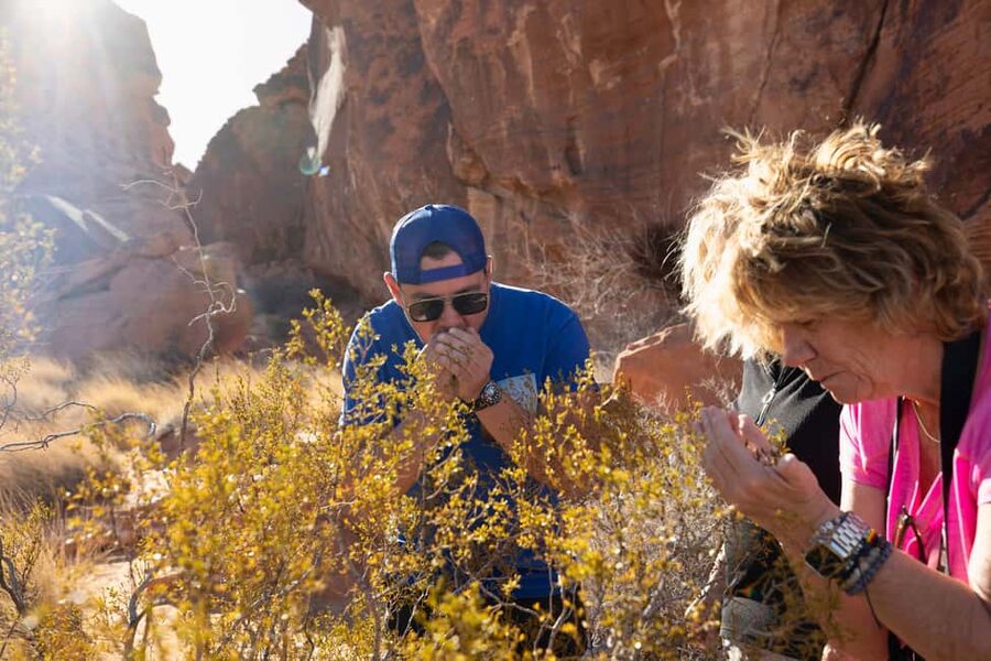 Las Vegas: Valley of Fire and Red Rock Canyon Day Trip - Why sunrise makes Valley of Fire worth the early alarm