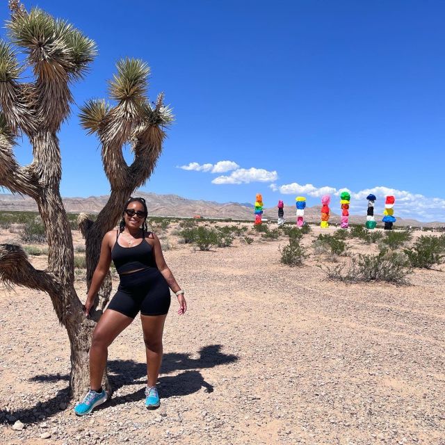 Las Vegas: Valley of Fire and Red Rock Canyon Day Trip - Who should book this day trip?