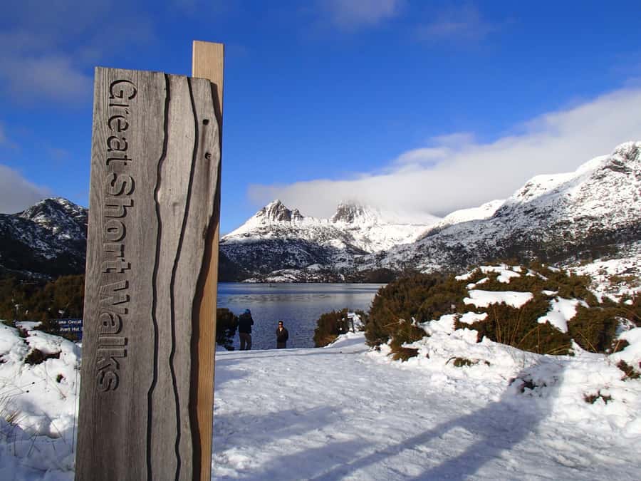 Launceston: Cradle Mountain Guided Active Day Trip - Pencil Pine Falls begins the park visit gently