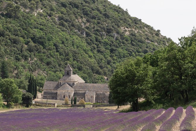Lavender in Luberon Small Group Half-Day Trip - Lavender fields around the Luberon