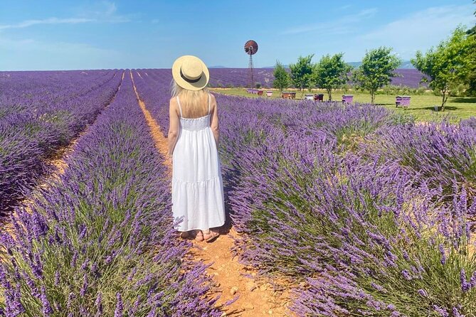 Lavender in Luberon Small Group Half-Day Trip - Roussillon, where the earth turns red