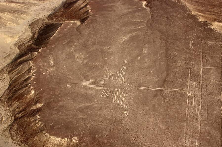 Lima: Ballestas & Huacachina Day Trip w/ Nazca Lines Flight - Guides, vehicles, and how the day works