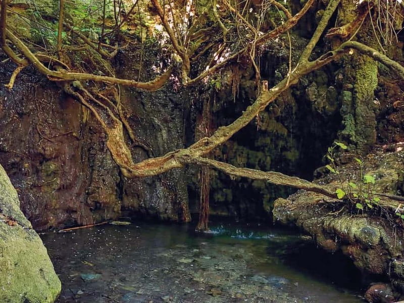 Limassol: Aphrodite Baths & Blue Lagoon Bus & Boat Day Trip - The Baths of Aphrodite and the Fountain of Love