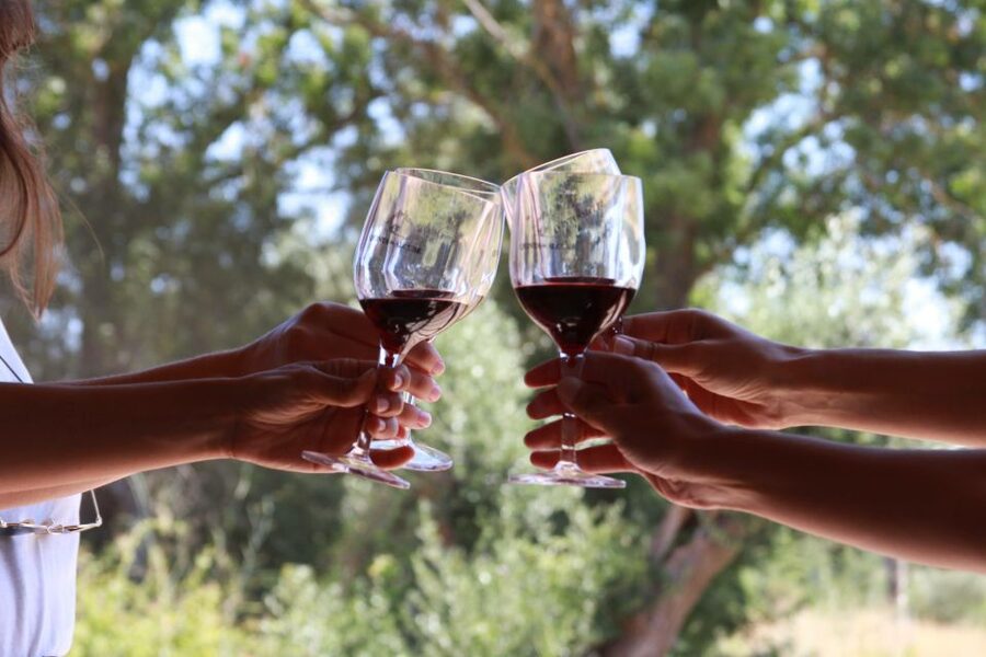 Lisbon: Arrábida and Sesimbra Day Trip with Wine - Key points at a glance