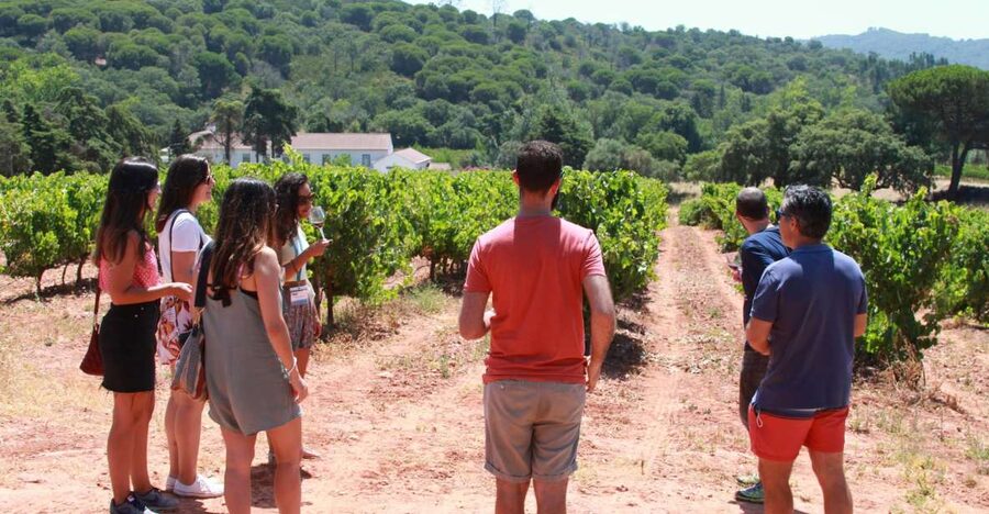 Lisbon: Arrábida and Sesimbra Day Trip with Wine - Palmela and the castle-country views