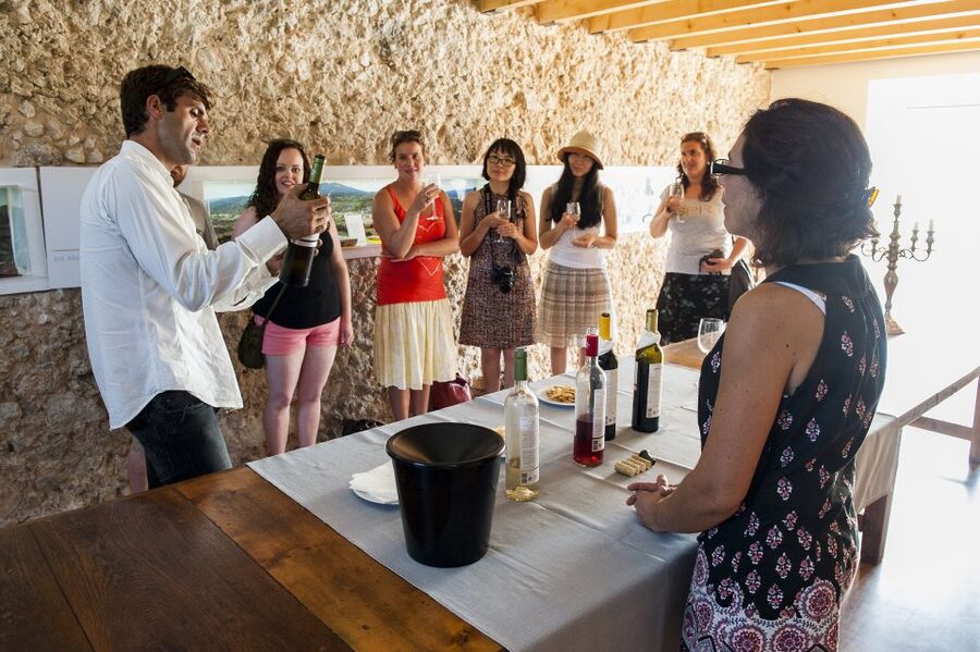 Lisbon: Arrábida and Sesimbra Day Trip with Wine - Sesimbra for seafood and free time