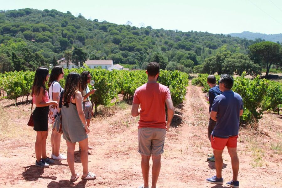 Lisbon: Arrábida and Sesimbra Day Trip with Wine - Starting in Lisbon and crossing the Vasco da Gama Bridge