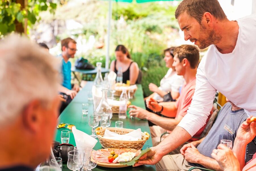 Ljubljana: Karst & Coast Full-Day Trip - Piran: the day’s best free-time stop