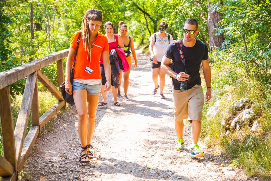 Ljubljana: Karst & Coast Full-Day Trip - The small-group format and the guides