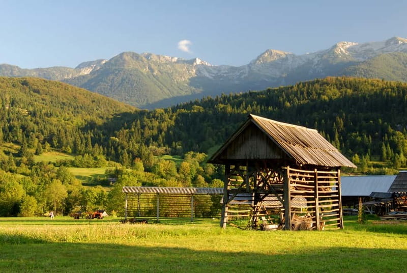Ljubljana: Lake Bled & Triglav National Park Full-Day Trip - Who should book this Alpine day trip?