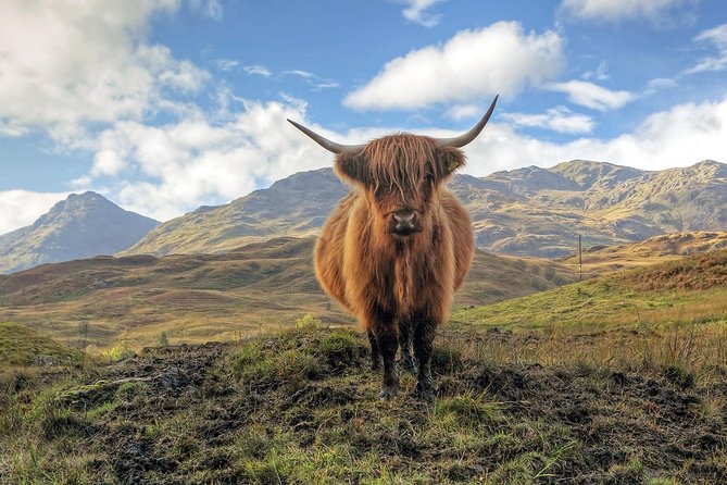 Loch Ness, Glencoe & the Highlands Guided Day Tour from Edinburgh - Your hour beside Loch Ness