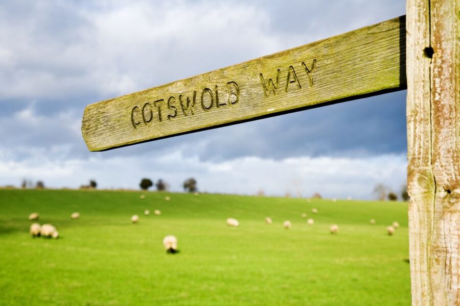 London: Oxford, Stratford, Cotswolds, and Warwick Day Trip - How the guide and driver shape the day