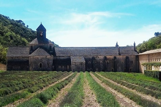 Luberon Market & Villages Day Trip from Aix-en-Provence - Apt market, authentic but not calm