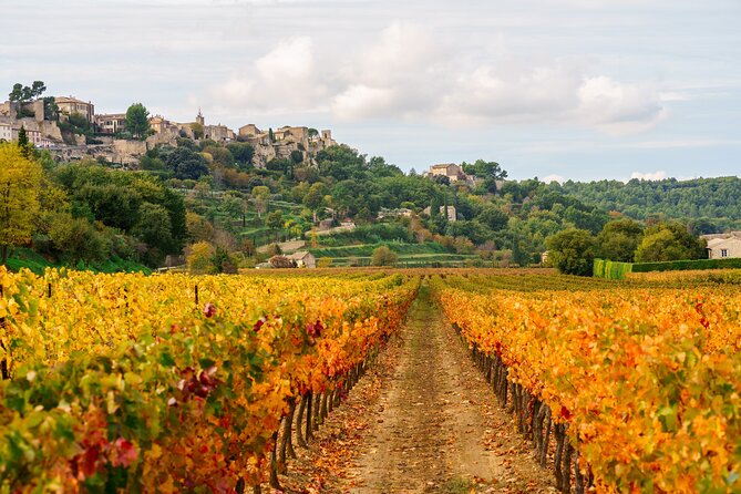 Luberon Small-Group Day Trip from Avignon - Food, fees, and small practical details