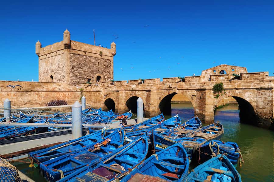 Luxury day trip to Essaouira from Marrakech - Goats, argan trees, and a women’s cooperative