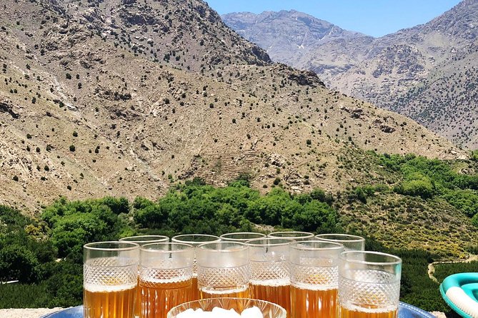 Luxury private day trip - Atlas Mountains, Agafay Desert & camels - Is $232.63 per person fair value?