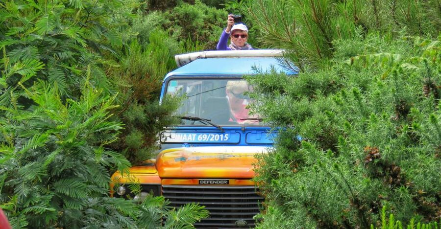Madeira : Santo de Serra Local Farmers' Market half day trip - The 4x4 Ride and Rural Roads