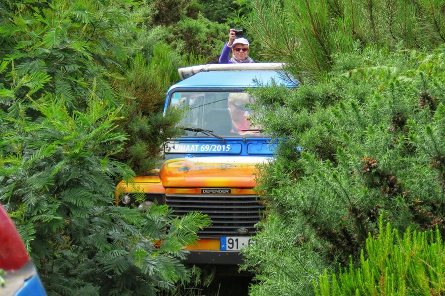 Madeira : Santo de Serra Local Farmers' Market half day trip - Morning or Afternoon: Choosing the Better Departure