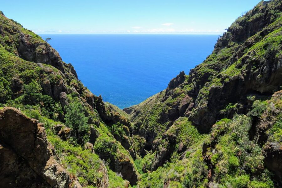 Madeira : Santo de Serra Local Farmers' Market half day trip - Who Should Book This Madeira Market Tour?