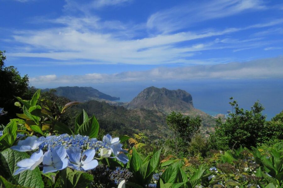 Madeira : Santo de Serra Local Farmers' Market half day trip - Should You Book It?