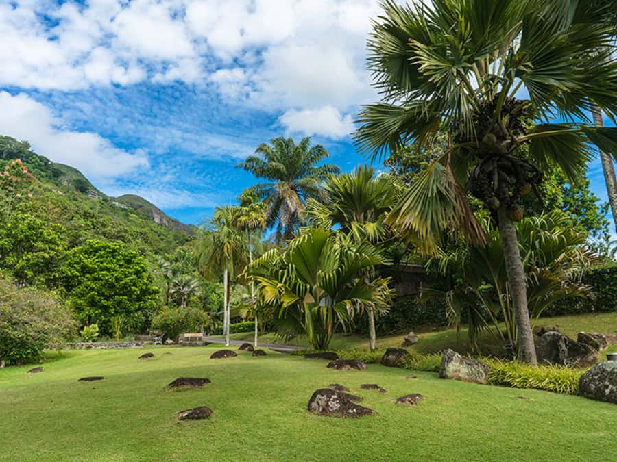 Mahé Island: Island Highlights Guided Day Trip with Lunch - Sans Soucis and the Mission Lodge viewpoint