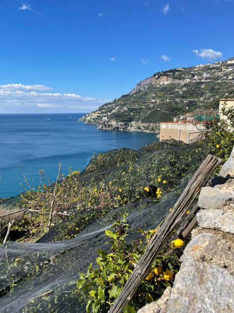 Maiori: Amalfi Coast Path of Lemons Day Trip with Tastings - Key points to know before you book