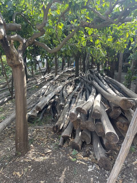 Maiori: Amalfi Coast Path of Lemons Day Trip with Tastings - Belvedere Mortella and the wide coastal view