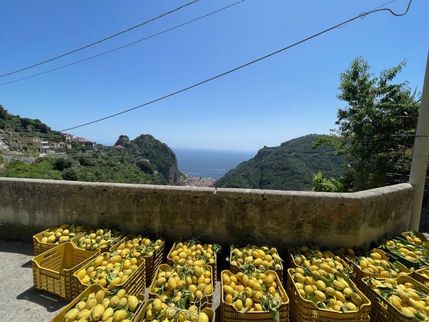 Maiori: Amalfi Coast Path of Lemons Day Trip with Tastings - Inside Giovanni Ruocco’s lemon groves