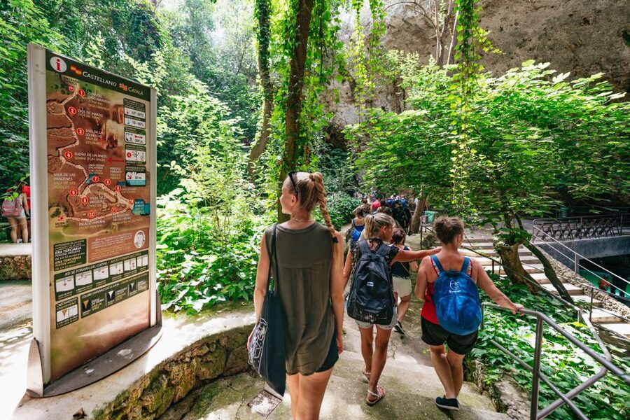Mallorca: Caves of Drach Day Trip & Optional Caves of Hams - The pearl factory stop