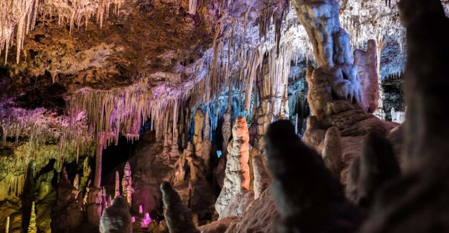 Mallorca: Day Trip to Caves of Hams & Optional Dinosaurland - Key points to know before booking