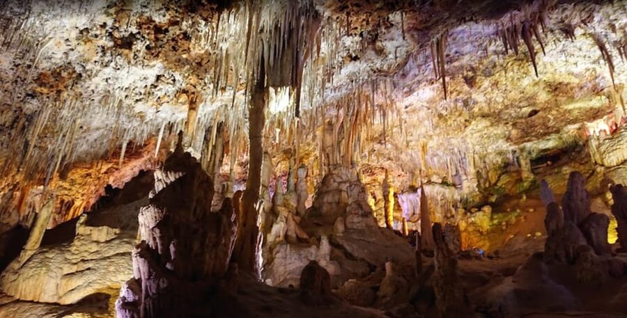 Mallorca: Day Trip to Caves of Hams & Optional Dinosaurland - Lunch and the long gap before departure
