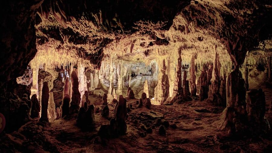 Mallorca: Drach Caves, Lake Martel, & Pearl Factory Day Trip - Why the Drach Caves make a strong Mallorca day trip