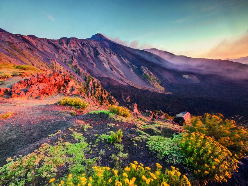 Malta: Mount Etna and Taormina Guided Day Trip by Catamaran - Key points before you book