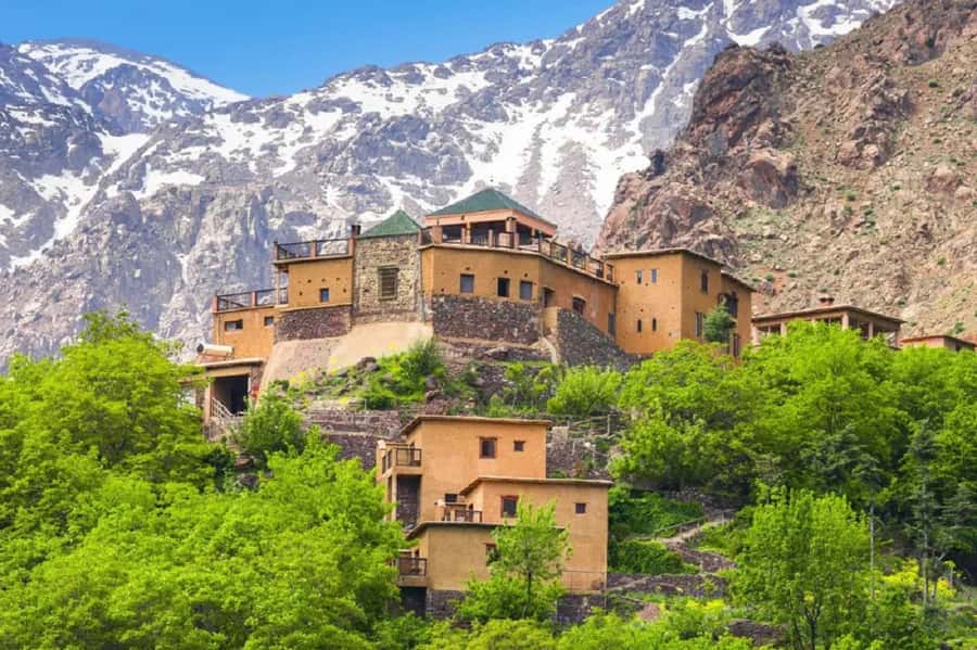 Marrakech: Atlas Mountains Day Trip, 3 Valleys & Waterfalls - The argan oil cooperative stop