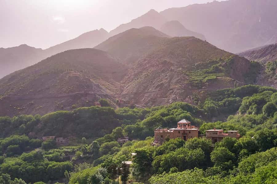 Marrakech: Atlas Mountains Day Trip, 3 Valleys & Waterfalls - Asni market on Saturdays and Tuesdays