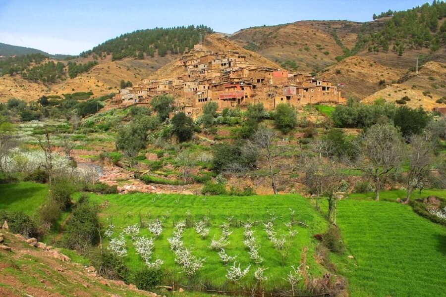 Marrakech: Atlas Mountains Day Trip, 3 Valleys & Waterfalls - What the $24 price really covers