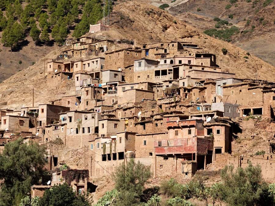 Marrakech: Atlas Mountains Day Trip, 3 Valleys & Waterfalls - A 25-minute camel ride and mint tea