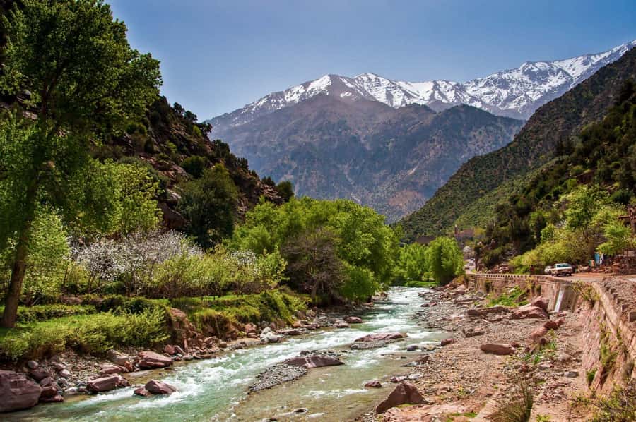 Marrakech:Atlas Mountains, Ourika Valley Day Trip,Waterfall - Lunch beside the river, at an extra cost