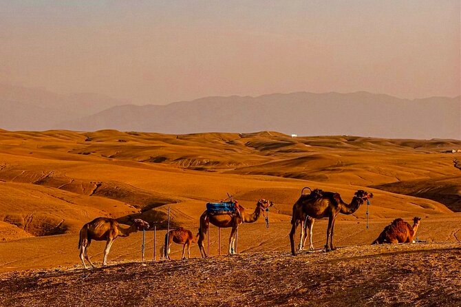 Marrakech Day Trip: Agafay Desert, Atlas Mountains and Camel Ride - Lunch is good value, but not included