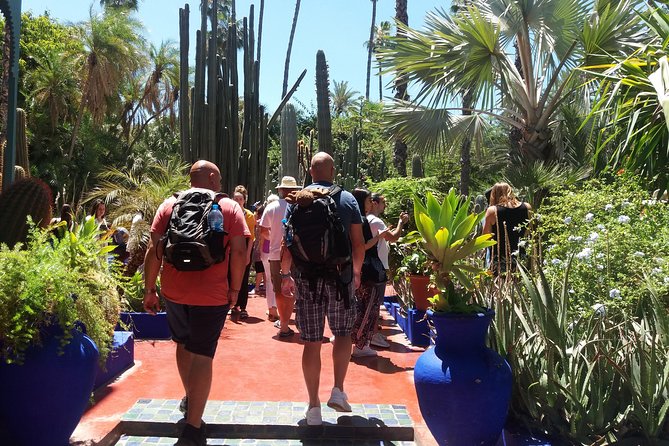 Marrakech day trip from Agadir & Taghazout - Walking the Marrakech medina and souks