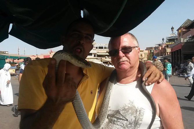 Marrakech day trip from Agadir & Taghazout - Bahia Palace, an optional extra