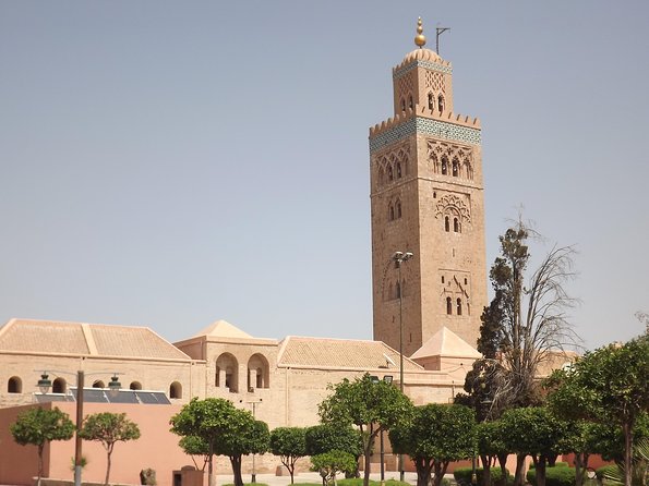 Marrakech day trip from Agadir & Taghazout - Jemaa el-Fnaa after the guided walk