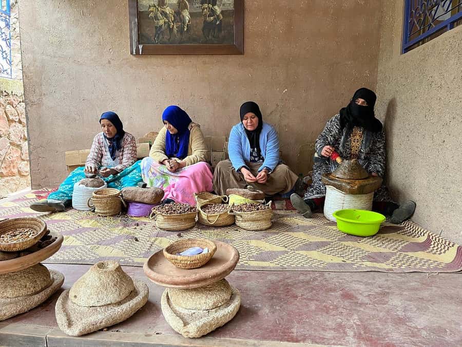 Marrakech: Day Trip To Atlas Mountains Ourika Waterfall - What the $14 price really gives you