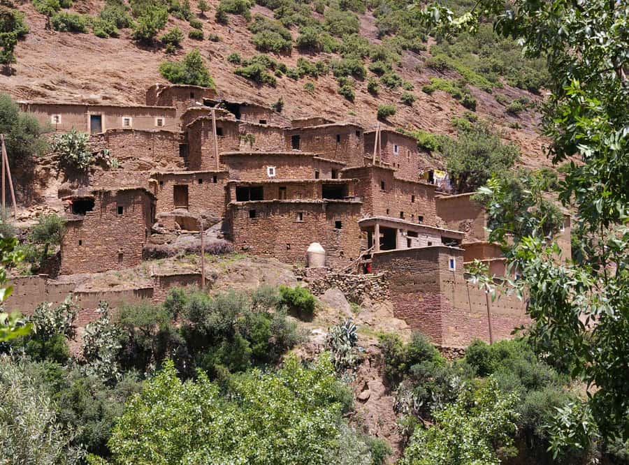 Marrakech Day Trip to Ourika valley & Waterfalls - From Marrakech to the foothills in 90 minutes