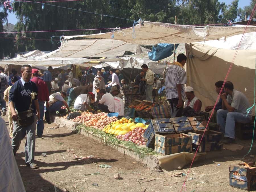 Marrakech Day Trip to Ourika valley & Waterfalls - Meeting a local family over mint tea