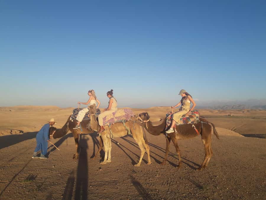 Marrakech Day Trip to Ourika valley & Waterfalls - Lunch by the river, with a question mark