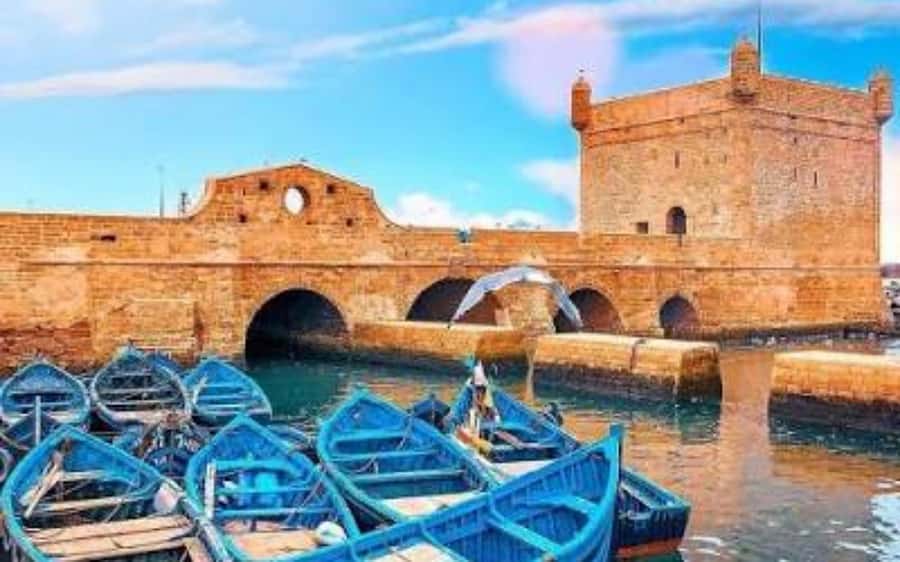Marrakech: Day Trip to the Beautiful and Historic Essaouira - The return drive and the real timing