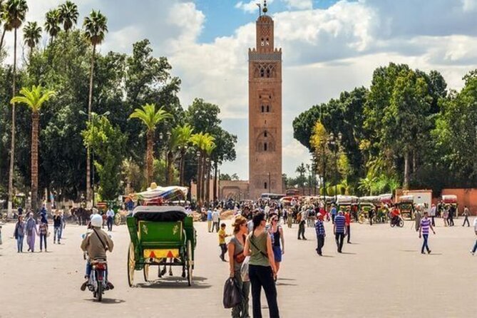 Marrakech Day Trip with Camel Ride from Casablanca - A 45-minute camel ride in the Palmeraie