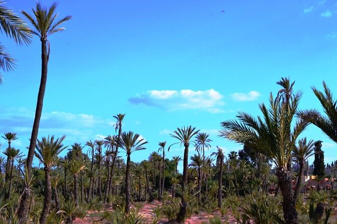 Marrakech Day Trip with Camel Ride from Casablanca - Bahia Palace and the cost of seeing more