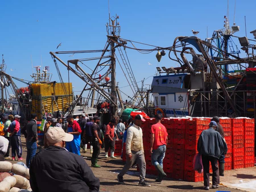 Marrakech: Essaouira Day Trip with Transfers and Co-op Visit - Why Essaouira Makes a Good Break from Marrakech